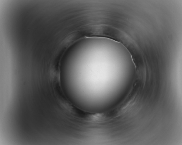 X0000092050092200709262017