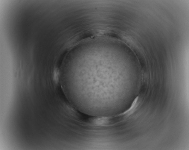 X0000092050094200709262017