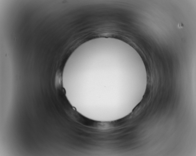 X0000092050095200709262017