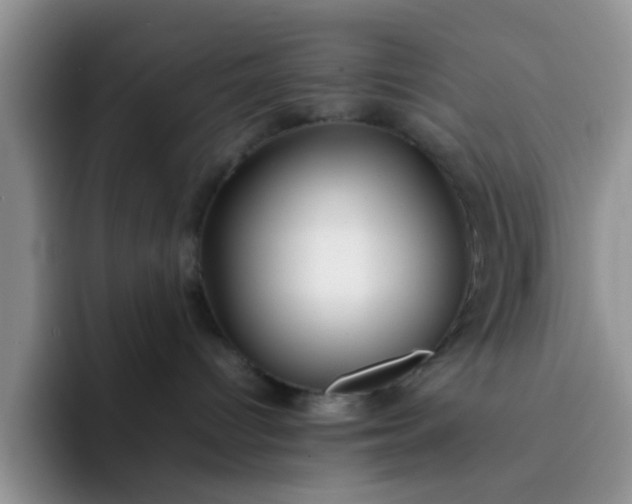 X0000092050096200709262017