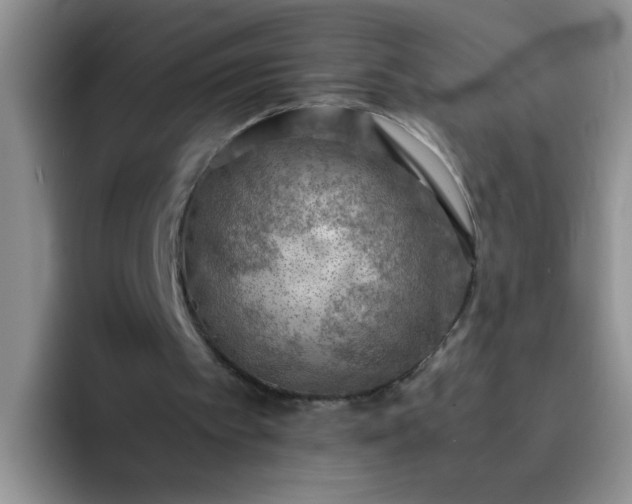 X0000092050097200709262017