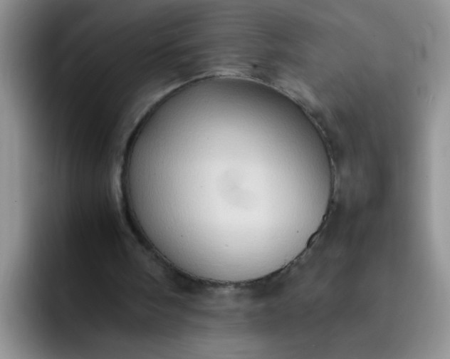 X0000092050098200709262017