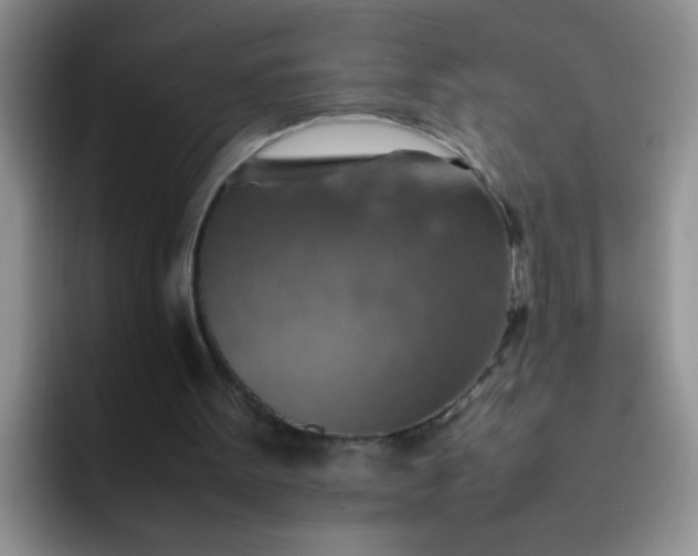 X0000092050099200709262017