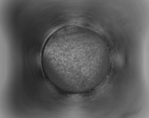 X0000092050100200709262017