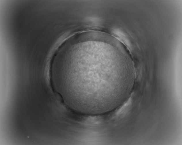 X0000092050101200709262017