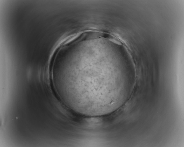 X0000092050102200709262017