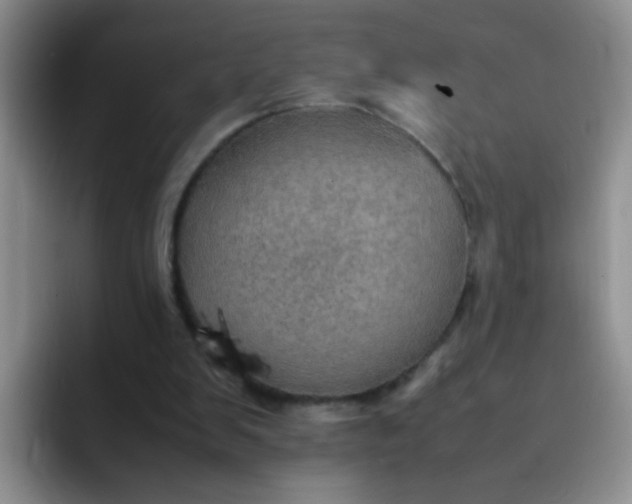 X0000092050103200709262017