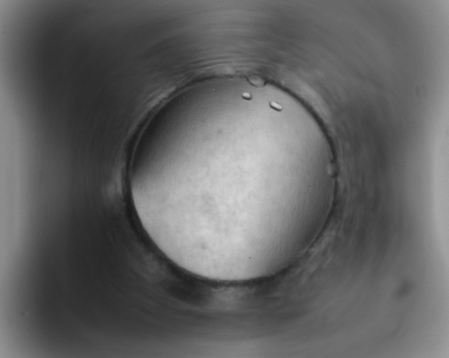 X0000092050105200709262017