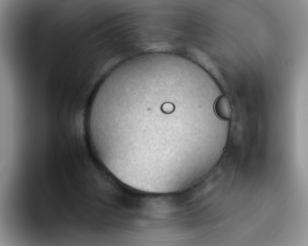 X0000092050106200709262017