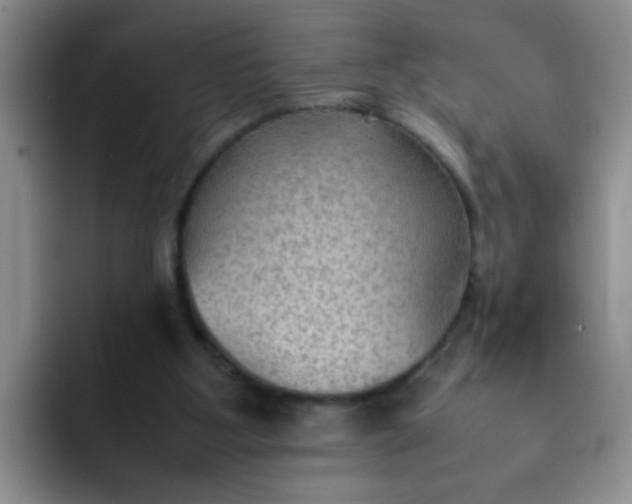 X0000092050107200709262017