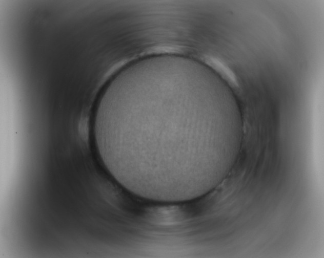 X0000092050108200709262017