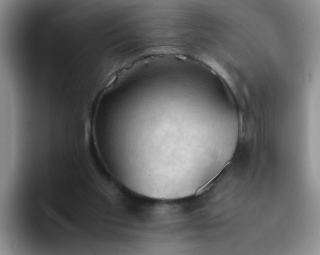 X0000092050109200709262017