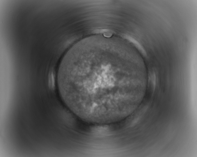 X0000092050110200709262017