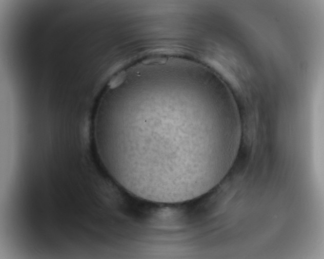 X0000092050111200709262017