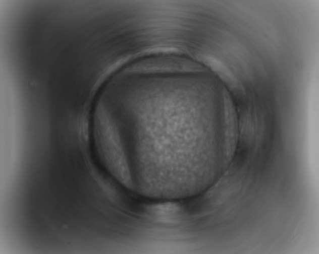 X0000092050112200709262017