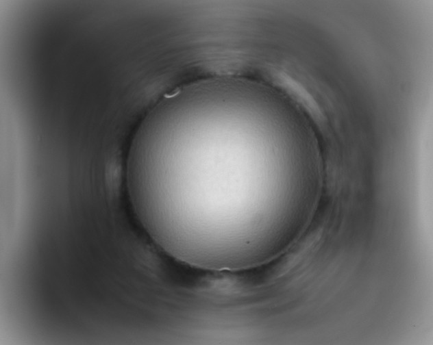 X0000092050113200709262017