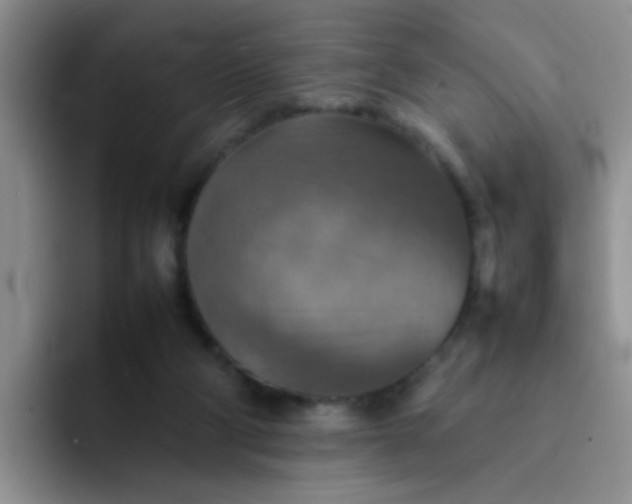 X0000092050114200709262017