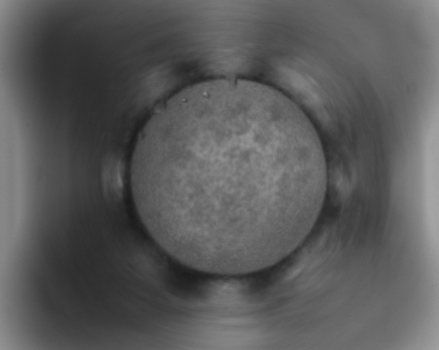 X0000092050115200709262017