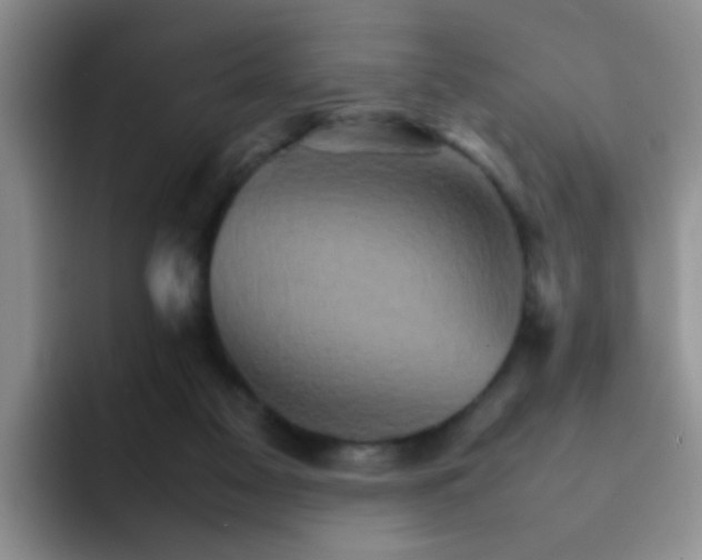 X0000092050117200709262016