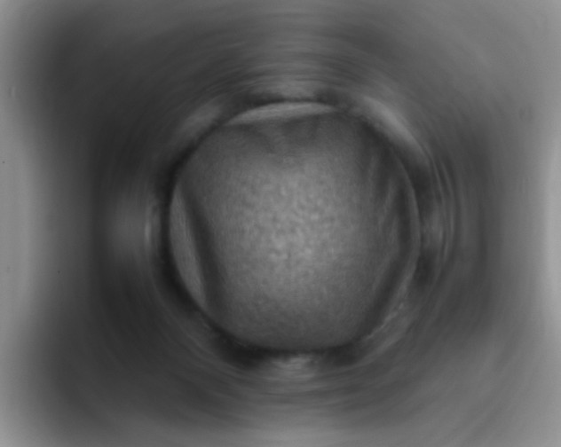 X0000092050120200709262016