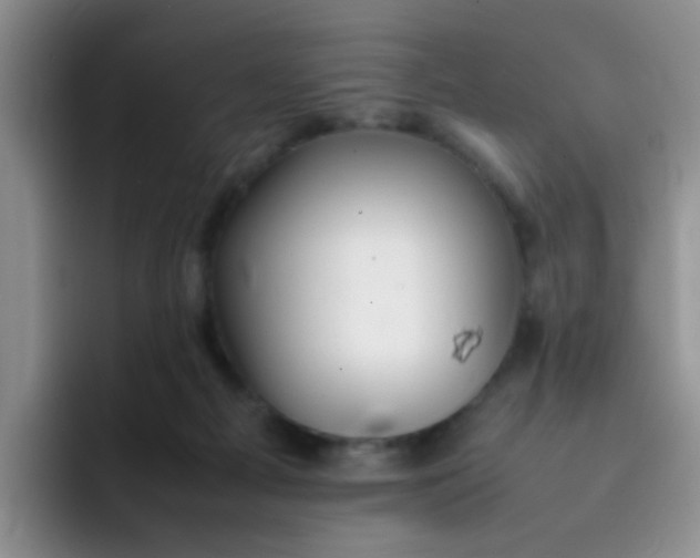 X0000092050121200709262016