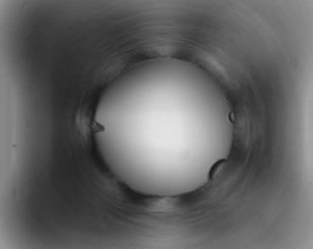 X0000092050122200709262016