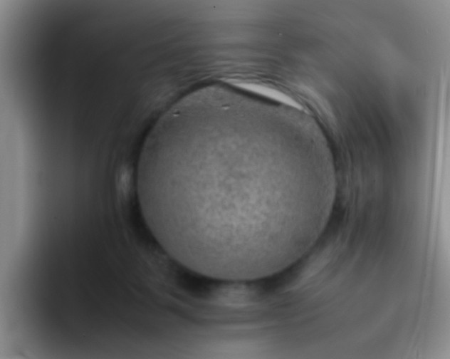 X0000092050123200709262016