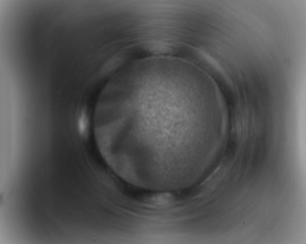 X0000092050124200709262016