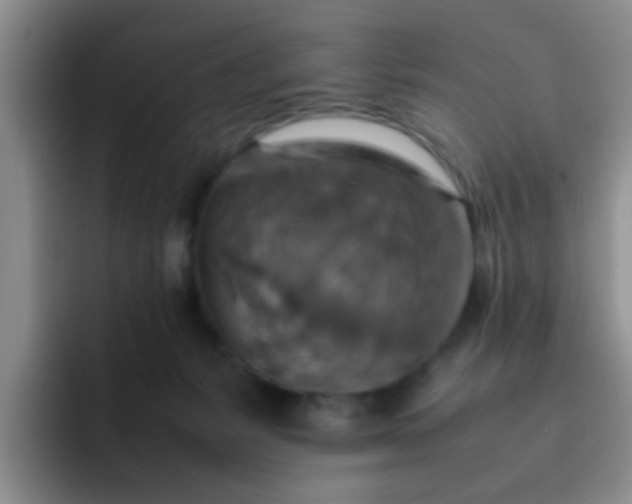 X0000092050127200709262016