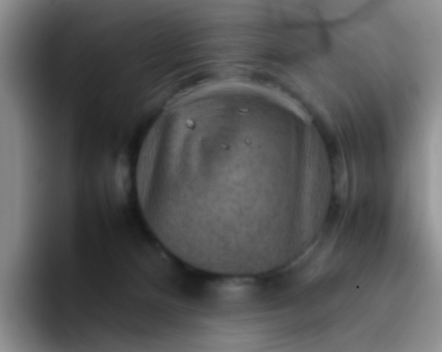 X0000092050128200709262016