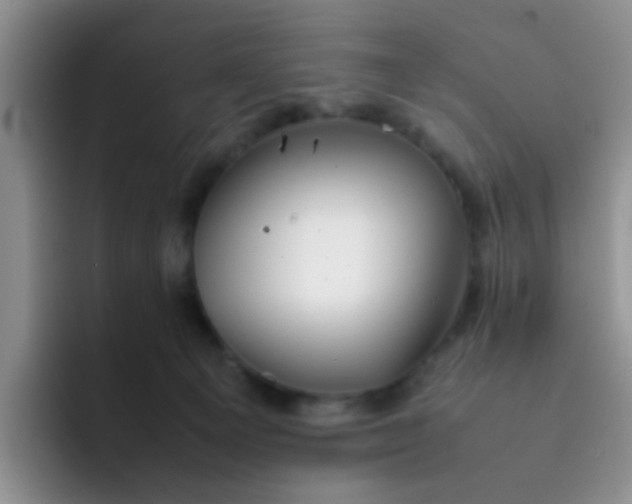 X0000092050129200709262016