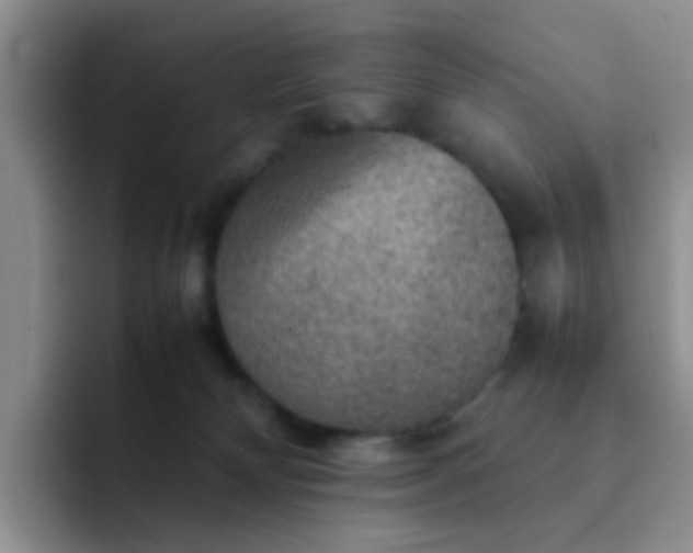 X0000092050132200709262016