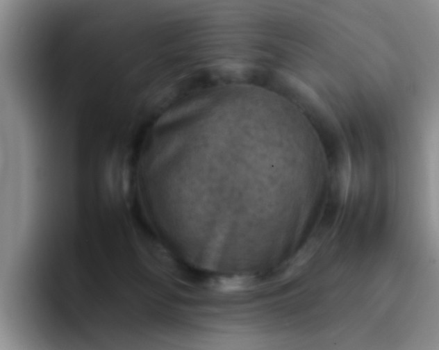 X0000092050134200709262016