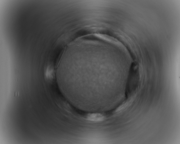 X0000092050137200709262016