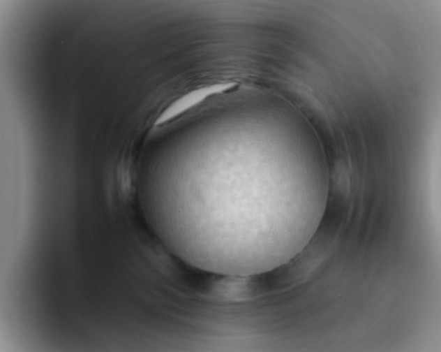 X0000092050138200709262016