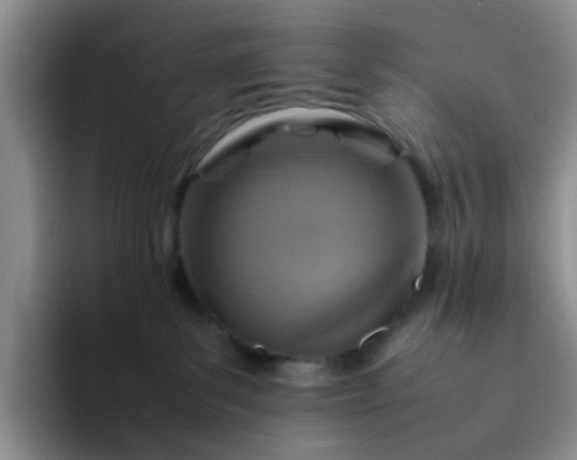 X0000092050139200709262016