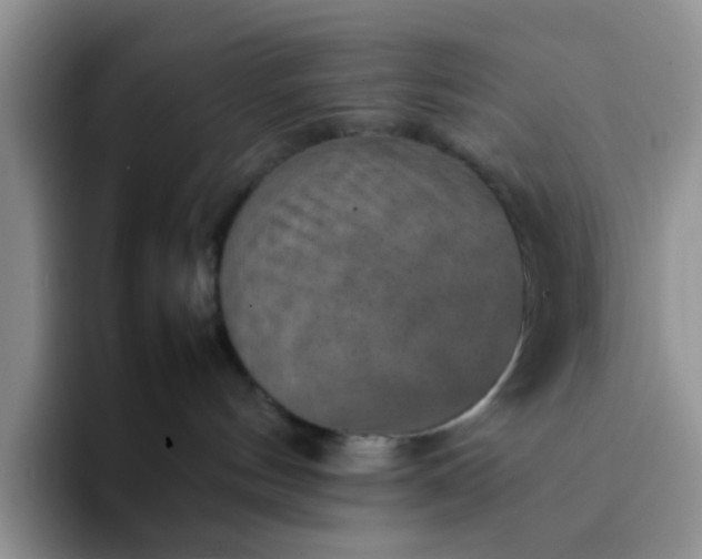 X0000092050144200709262016