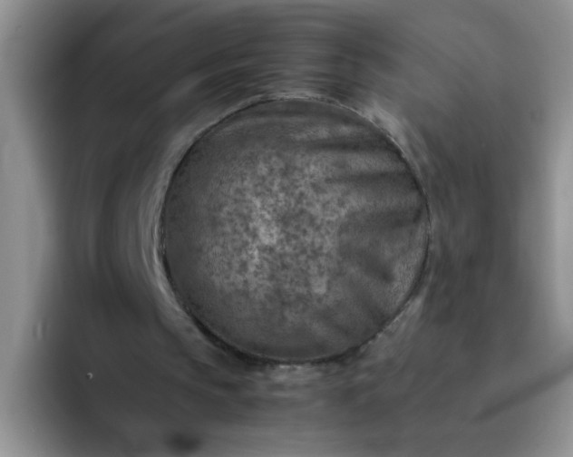 X0000092050145200709262016