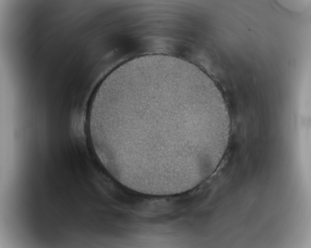 X0000092050146200709262016