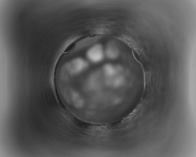 X0000092050147200709262016