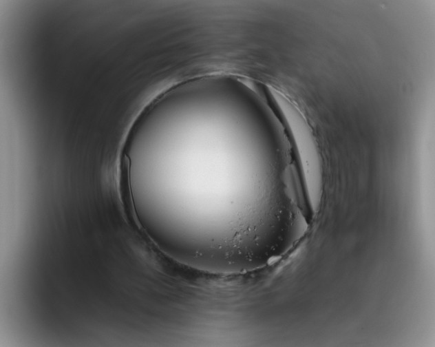 X0000092050148200709262016