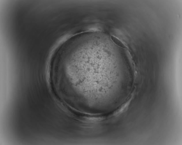 X0000092050149200709262016