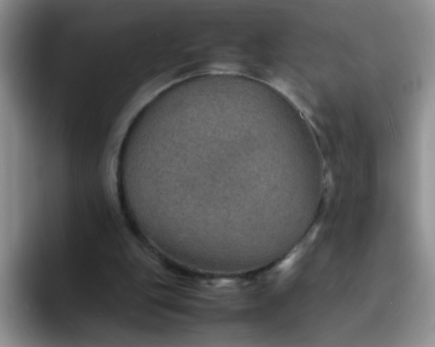 X0000092050151200709262016