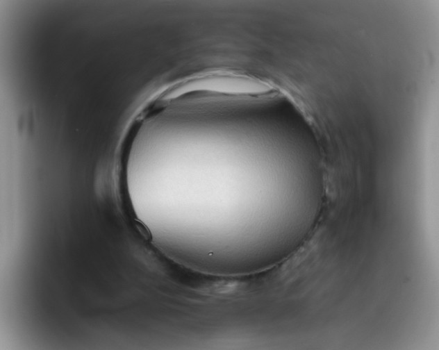 X0000092050152200709262016