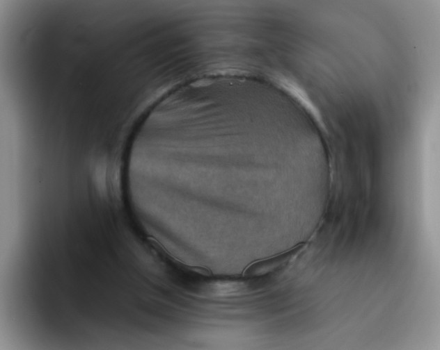 X0000092050154200709262016