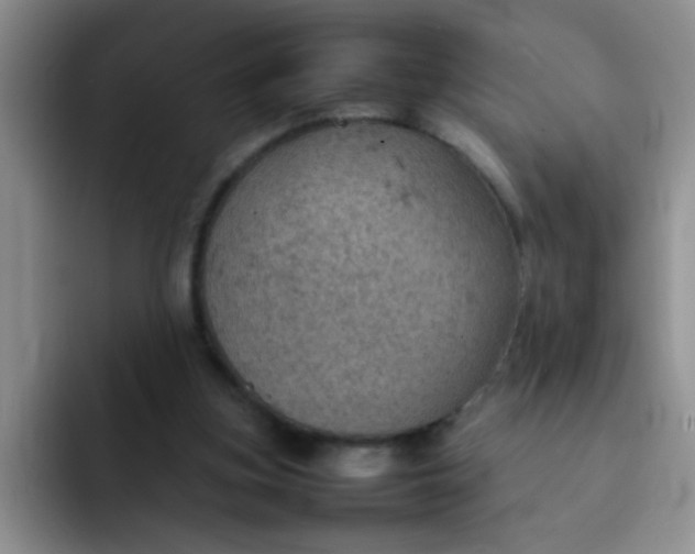 X0000092050155200709262016