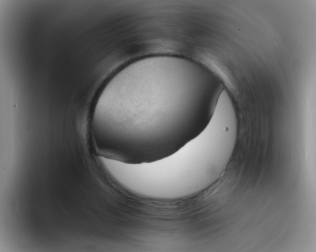 X0000092050156200709262016