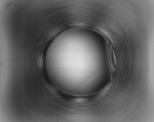 X0000092050158200709262016