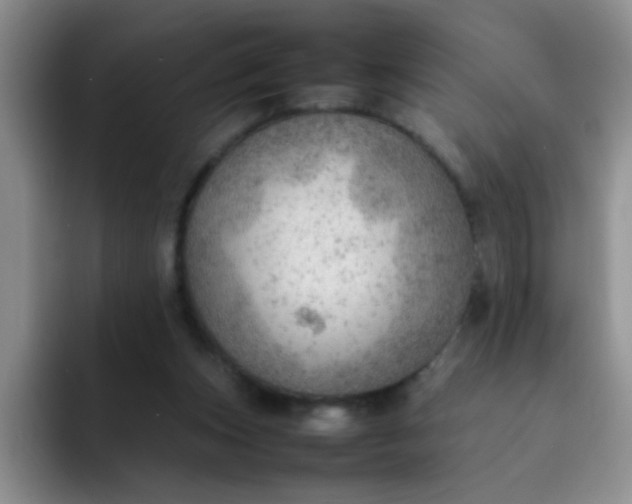 X0000092050159200709262016