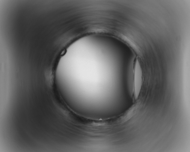 X0000092050160200709262016